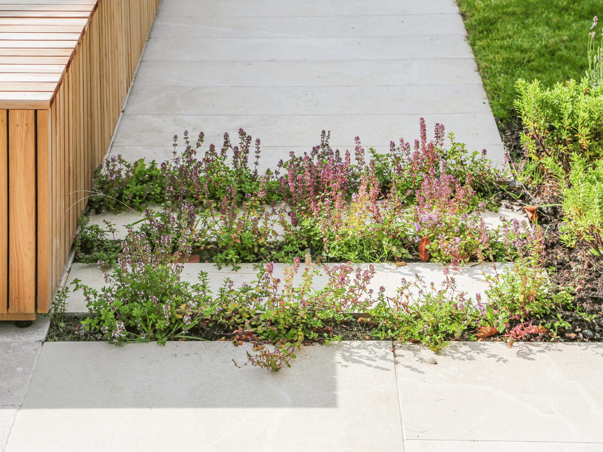 Barn Conversion Co Durham Sam Nattress Gardens (5)