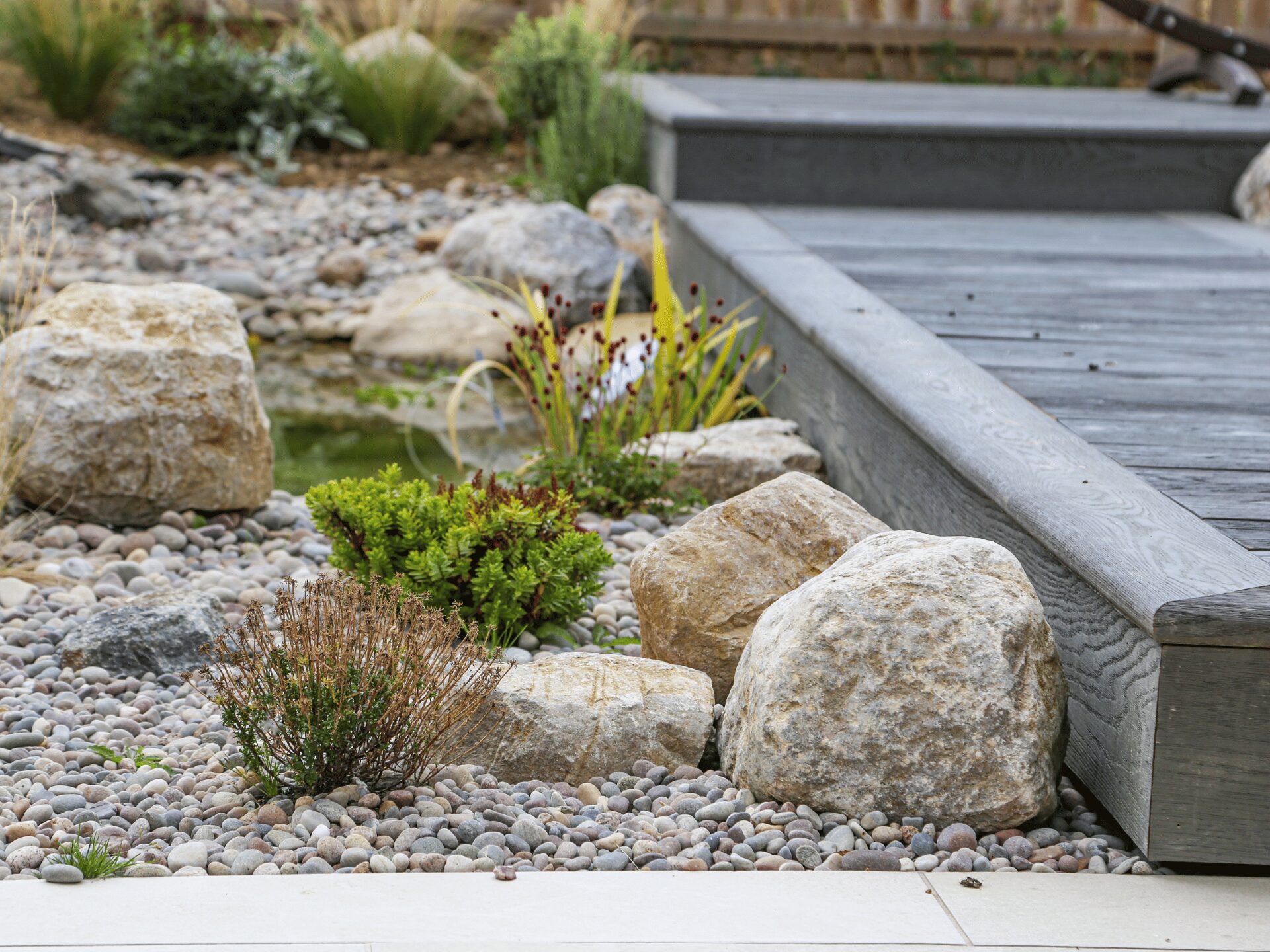 Pond Boardwalk Garden Middleton Tyas Sam Nattress (12)